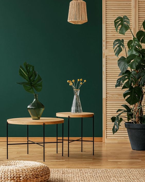 Fabulous Green Interior Decoration Ideas to Wow