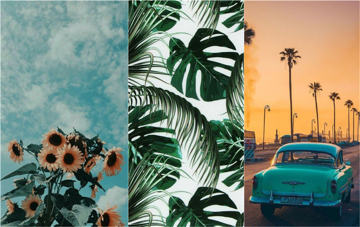 Download Collage Summer Vibes Wallpaper  Wallpaperscom