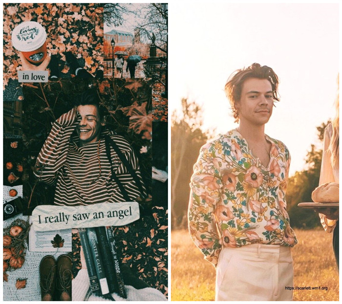 27 Aesthetic Harry Styles Wallpaper Ideas  Fancy Ideas about Everything
