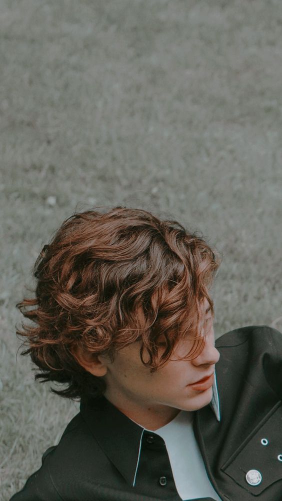 Aesthetic and Vintage Timothee Chalamet iPhone Wallpaper Ideas